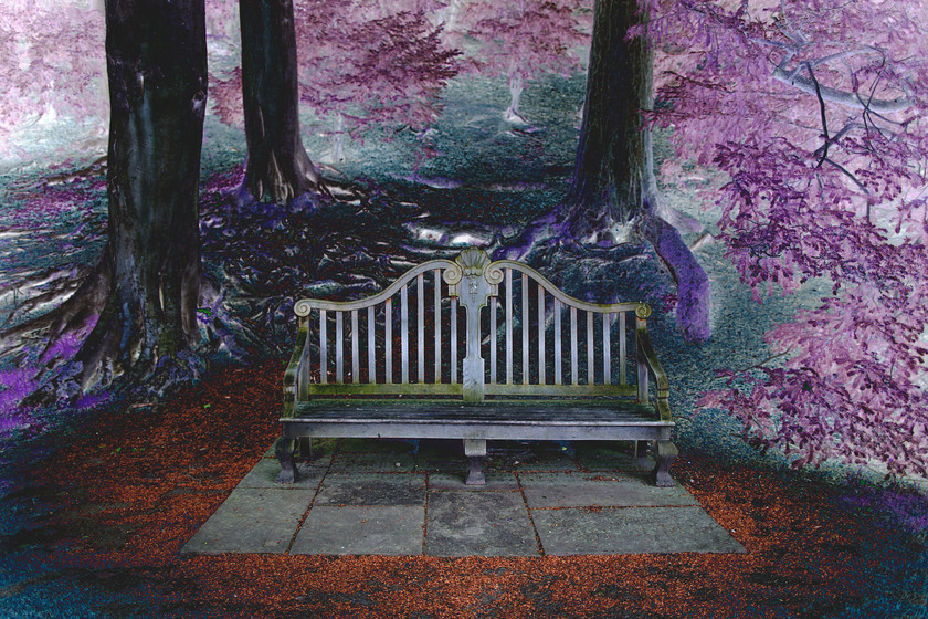 park-bench